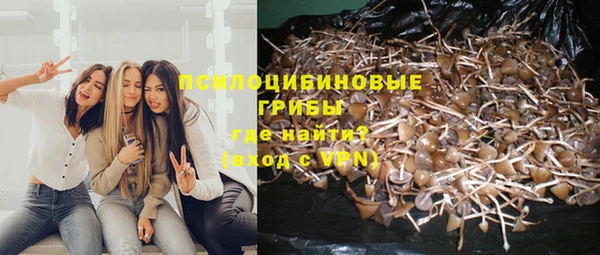 а пвп мука Гусев