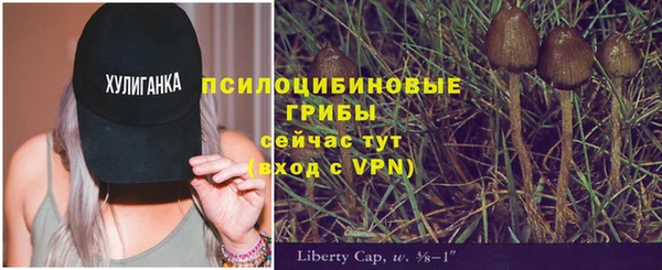 дживик Абинск