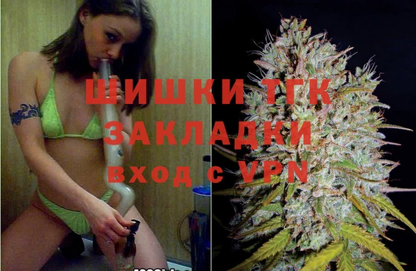 дживик Абинск