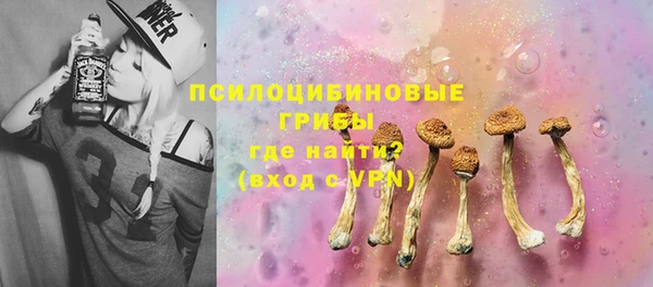 дживик Абинск