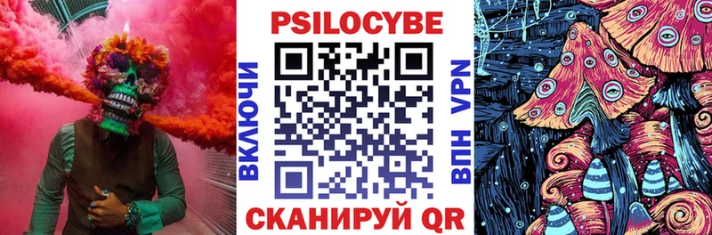 Галлюциногенные грибы мицелий что такое Судогда