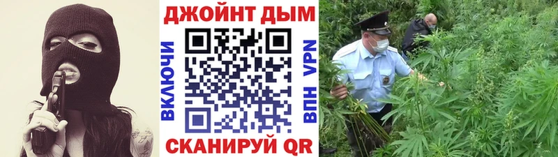 сайты даркнета телеграм  гидра зеркало  Судогда  Шишки марихуана OG Kush 